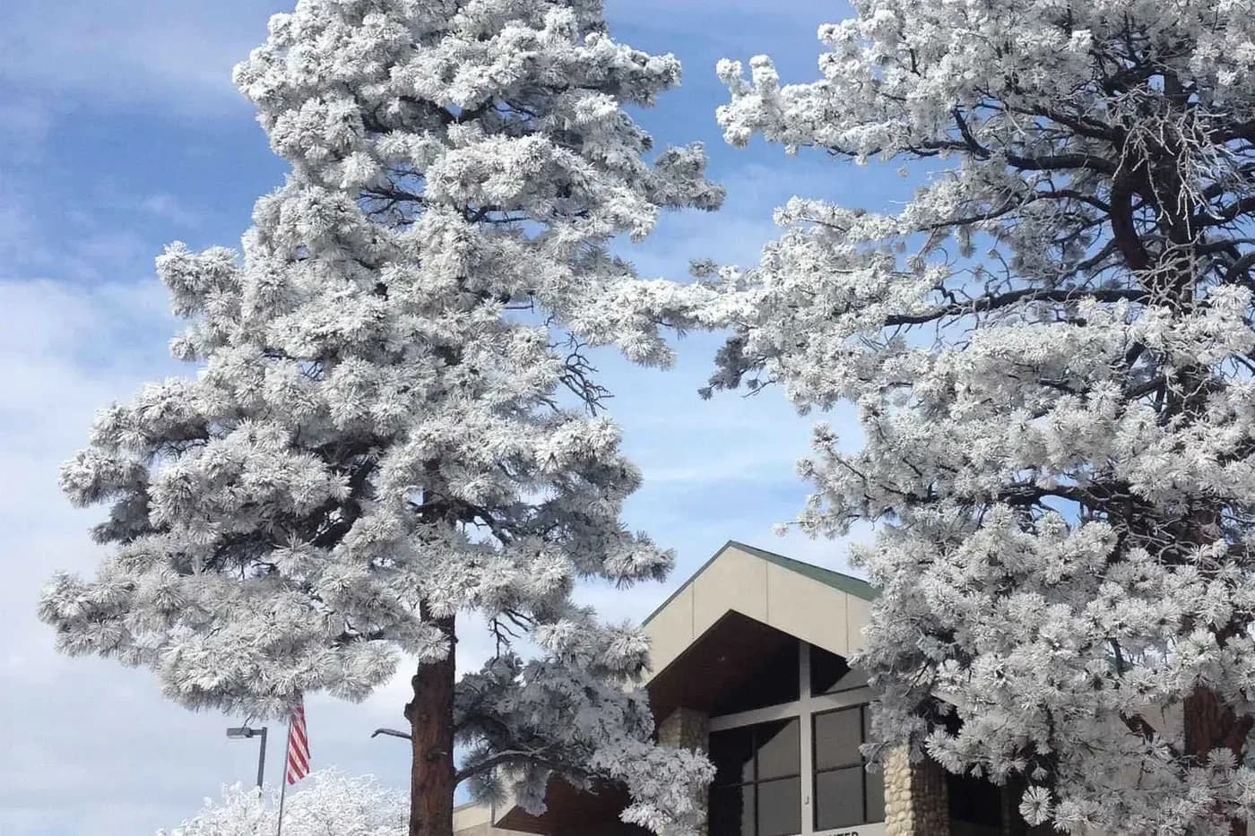 Exterior of Woodmen Valley Chapel building framed by snow-covered pine trees